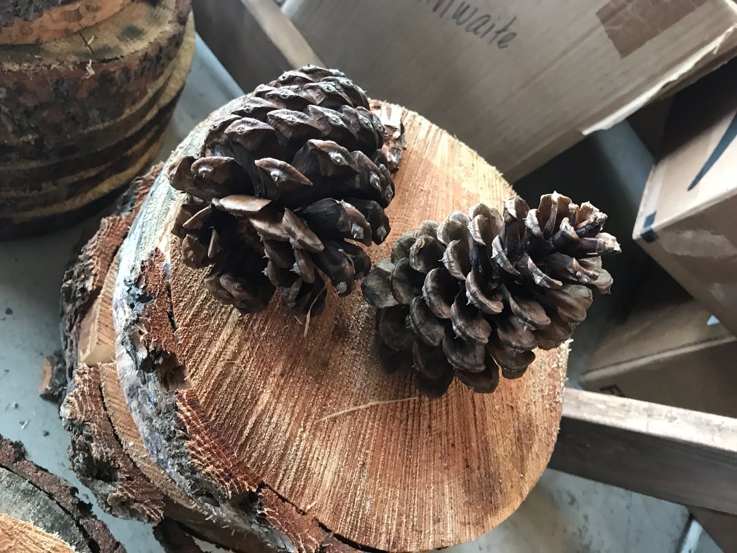 Tree rounds