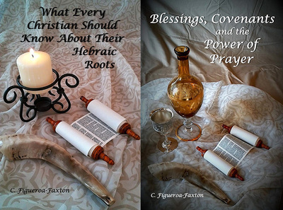 What Every Christian Should Know / Blessings, Covenants Mega Pack