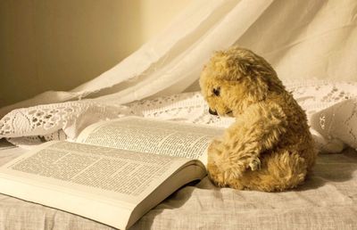 Books of Being