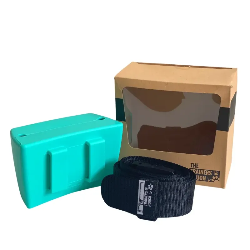 Pocket Trainers Pouch - Aqua