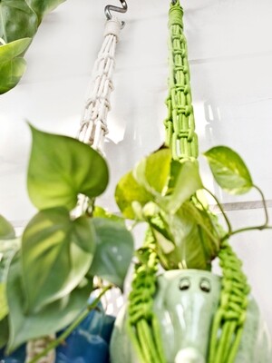 Square Plant Hanger