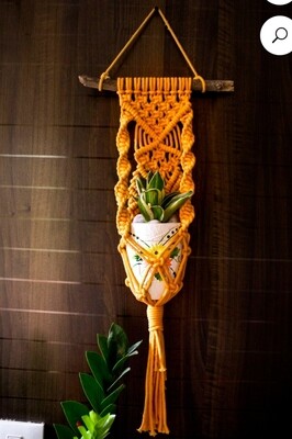 Plant Hanger