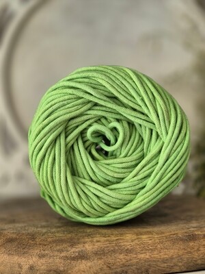 Parrot Green Braided