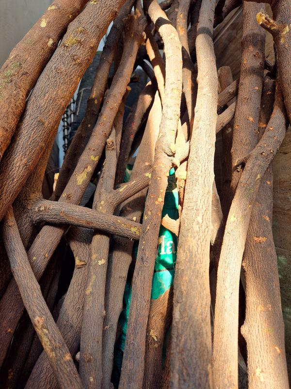 Dowels/ Natural Wooden Rod / Wood stick