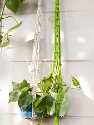 Square Plant Hanger