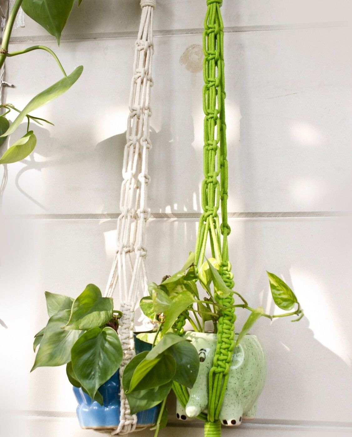 Square Plant Hanger