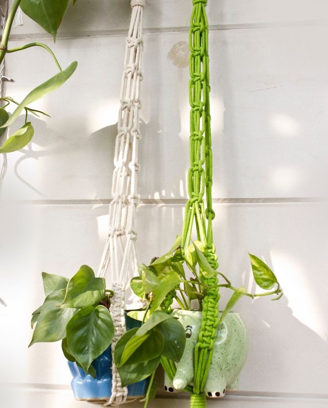 Square Plant Hanger