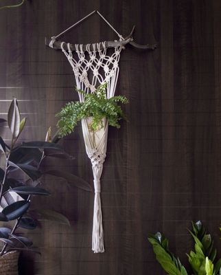 Web Plant Hanger
