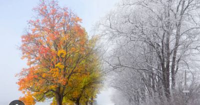 Herbst / Winter 25 