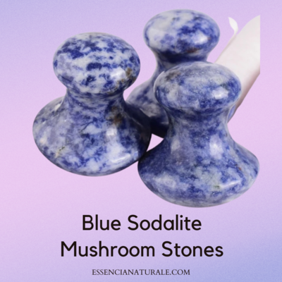 Blue Sodalite Mushroom Stones (set)