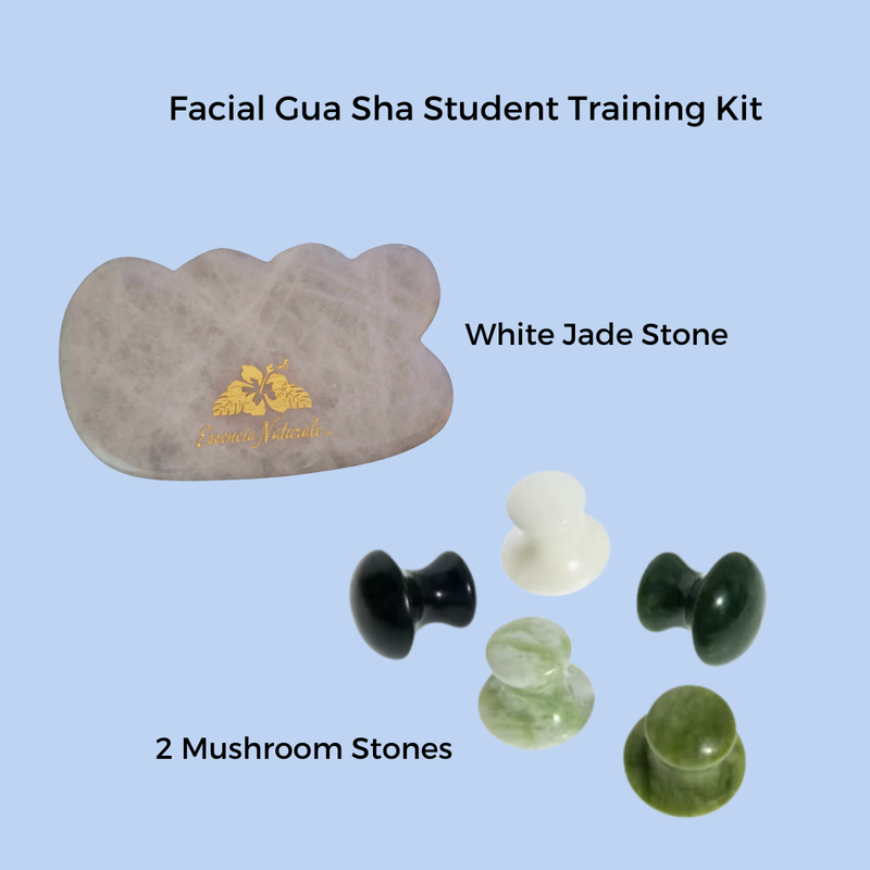 Facia Gua Sha Student Kit