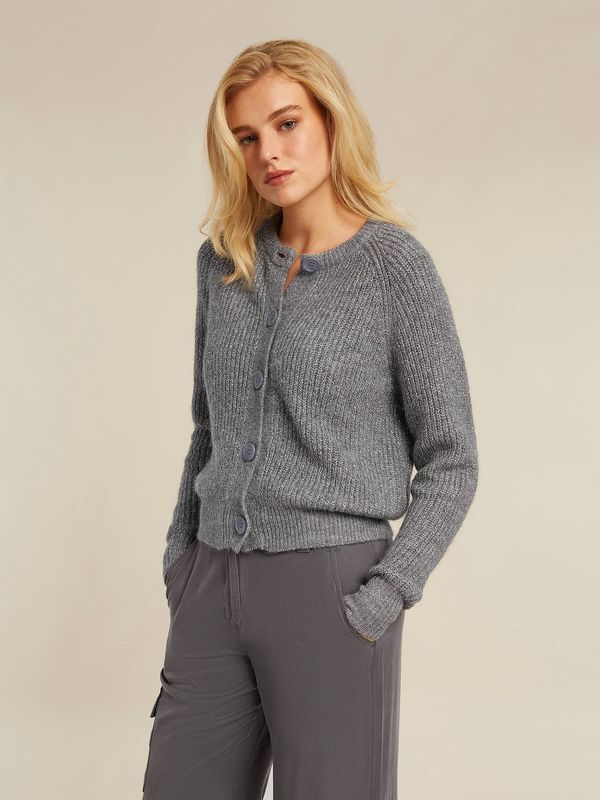 BT Brent cardigan grey