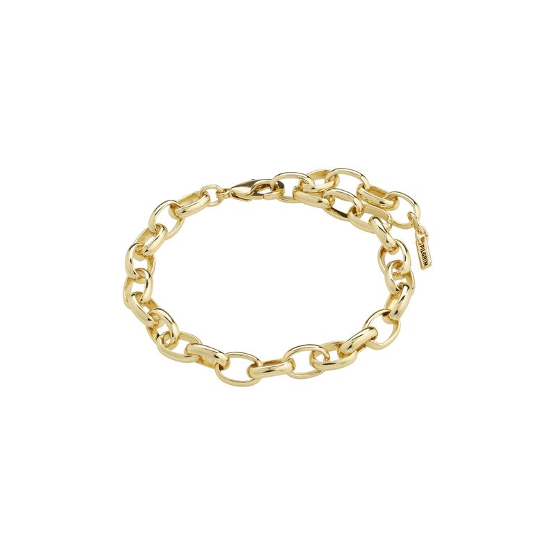 Charm gold-plated bracelet