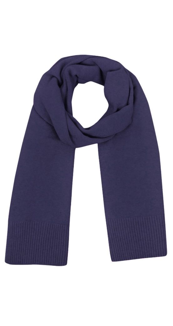 Coby navy scarf