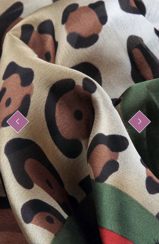 Leopard print silk scarf With red green border