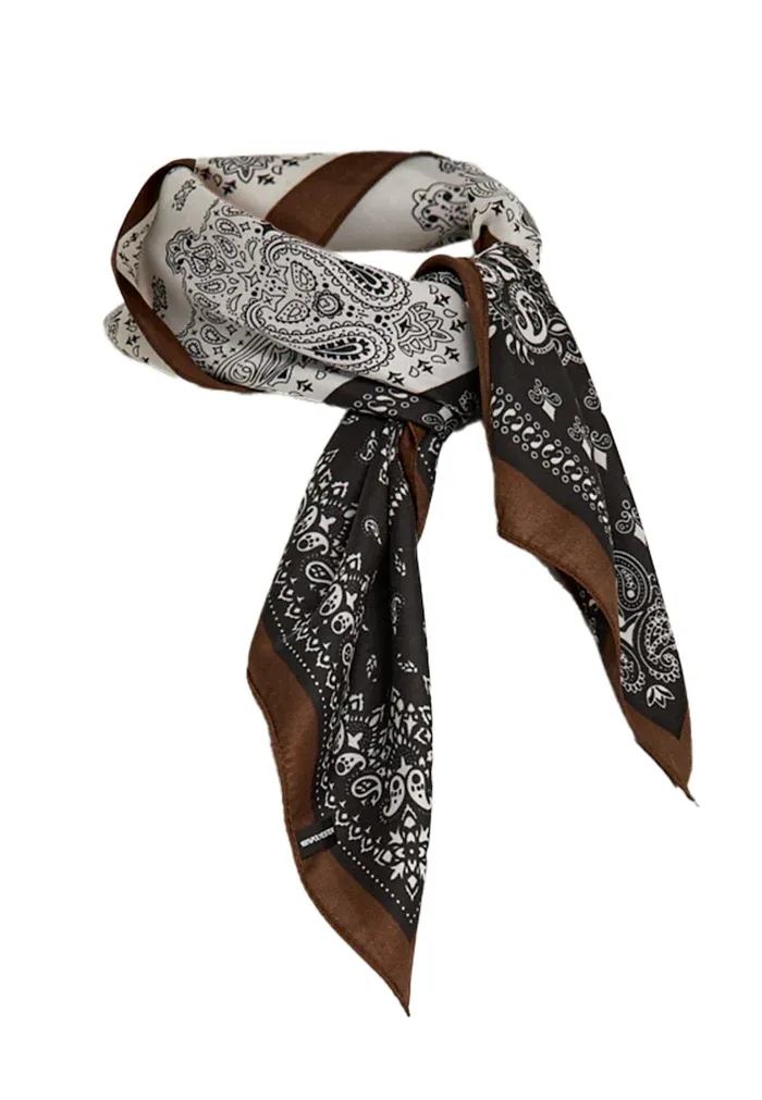 Paisley scarf brown black