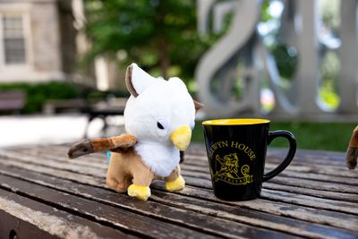 Mini Gryphon Plush