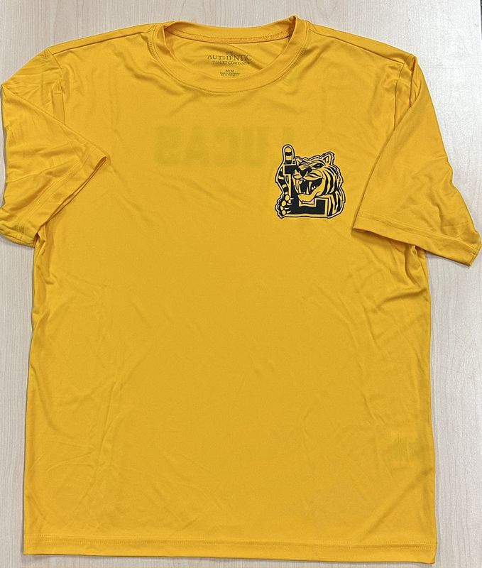 House T-Shirts Dri Fit Men's