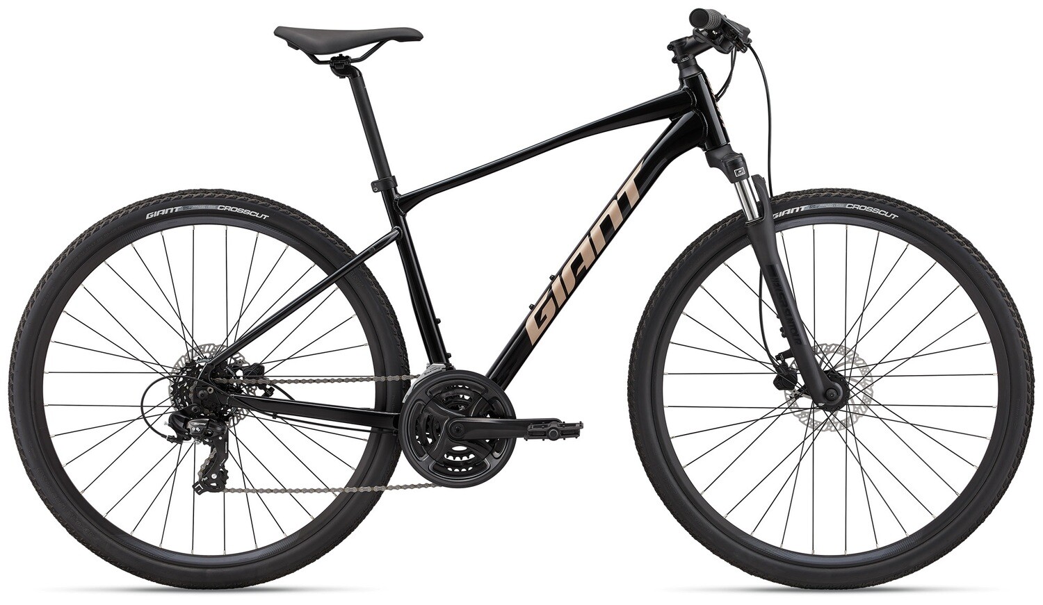 Roam 4 Disc