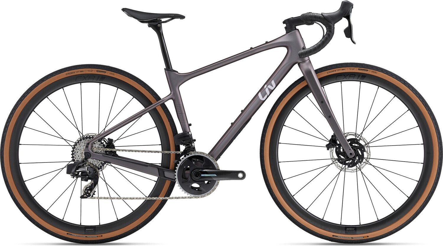 Devote Advanced Pro