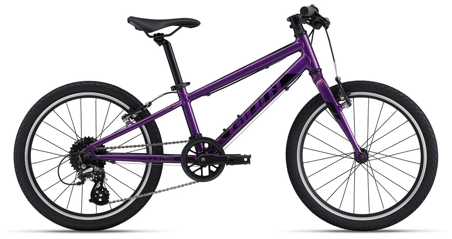 ARX 20, Color: Purple, Size: One size