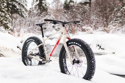 Fatbikes