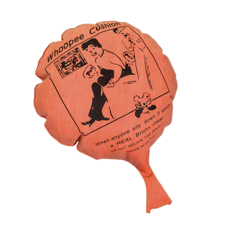 8&quot; Whoopee Cushion - Discontinued