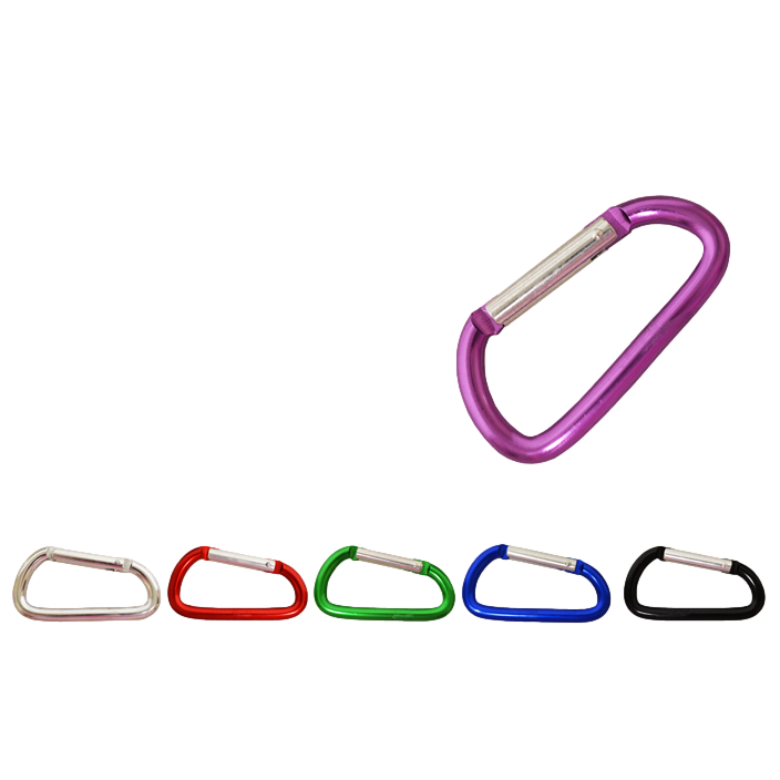 Medium Carabiner Keychain