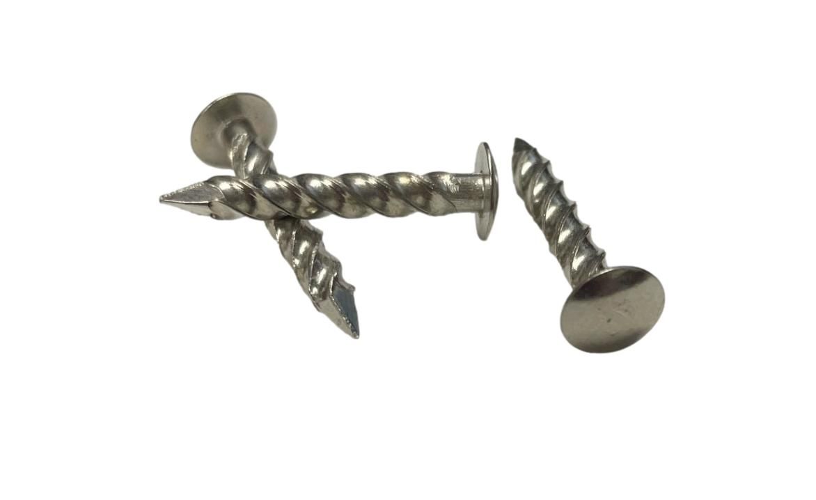 1&quot; Long Stainless Steel Threaded Cement Nail (1/2lb Bag)