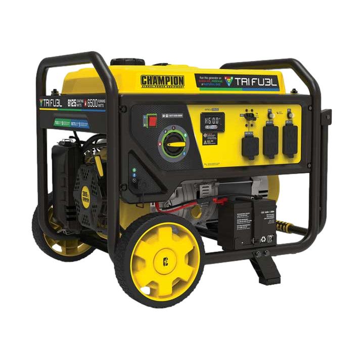 Champion 6500-Watt Natural Gas Generator with CO Shield and Carbon Monoxide Auto Shutoff System