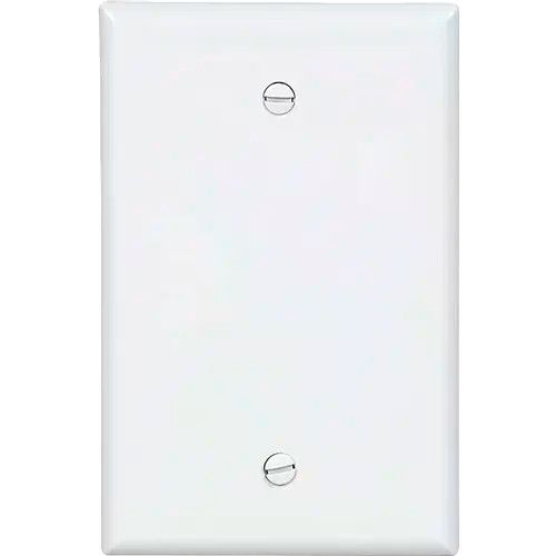 Eaton 1-Gang Blank Mid-Size Wall Plate, White
