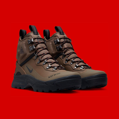 ACG Zoom Gaiadome GORE-TEX “Brown”