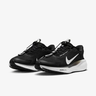Nike Pegasus Easy On
