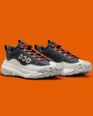 Nike ACG Mountain Fly 2 Low GORE-TEX