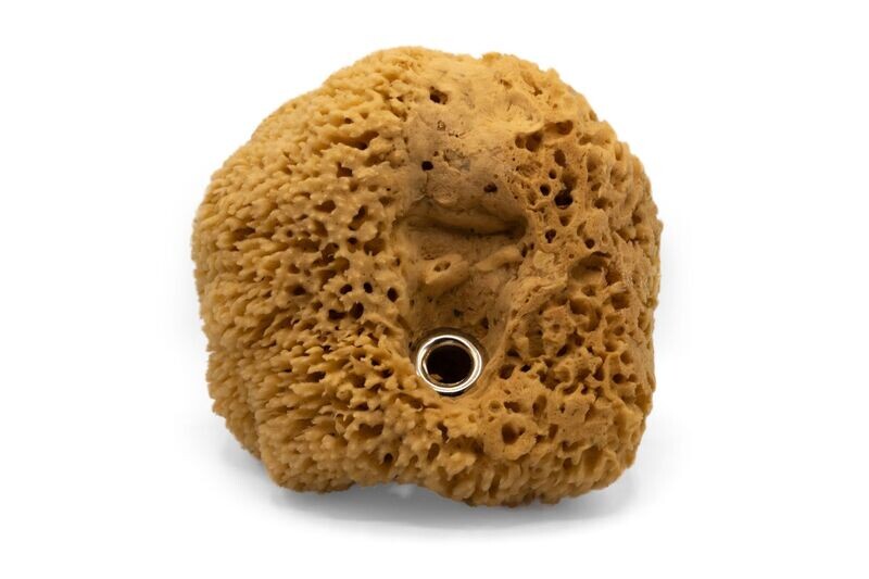 Natural Sponge