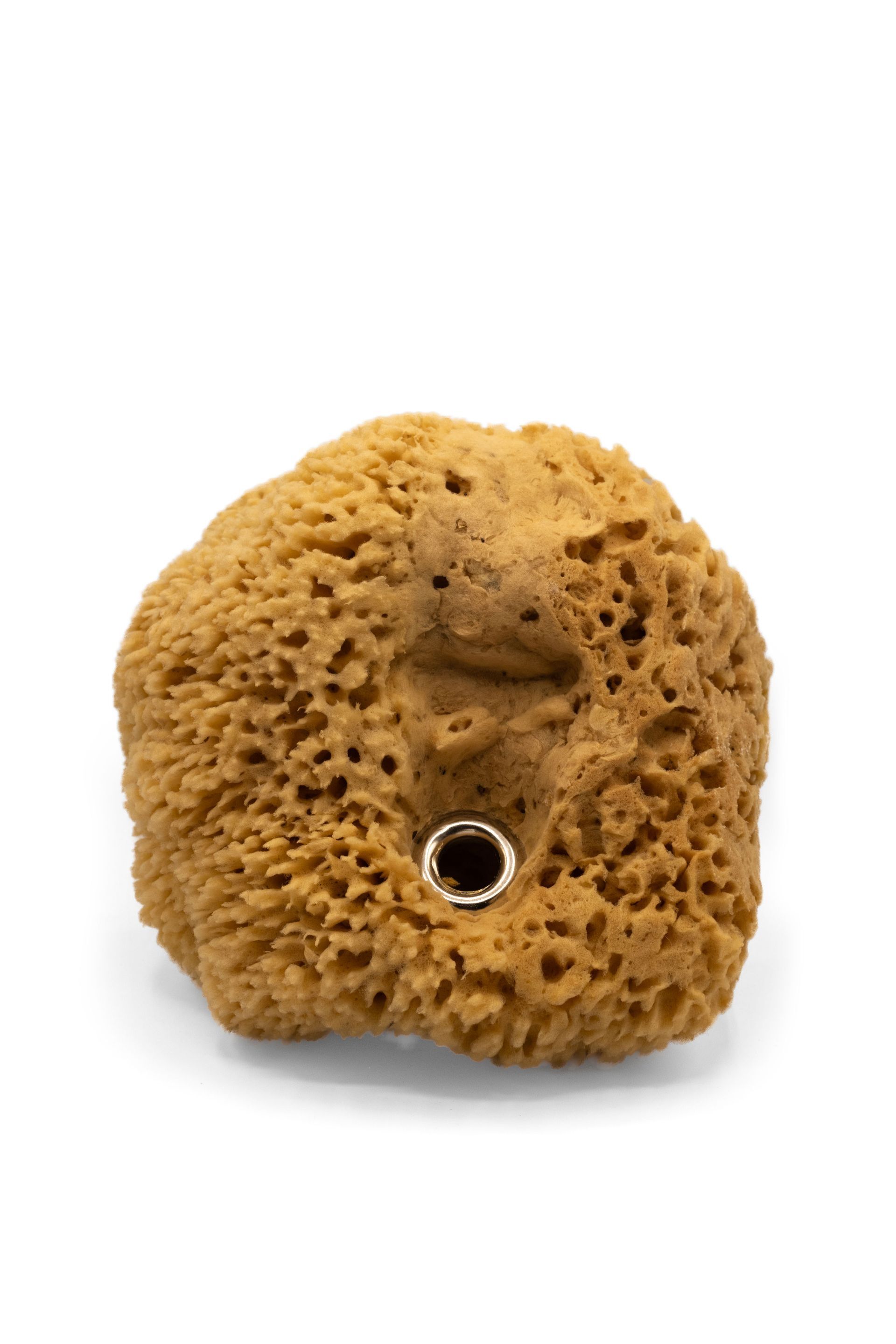 Natural Sponge
