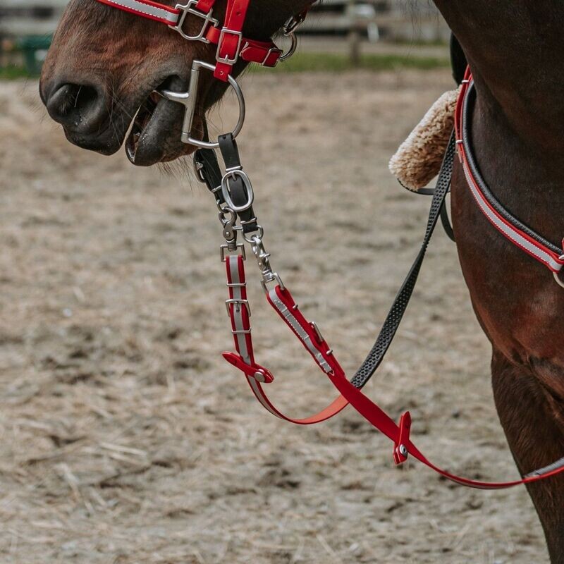 Rein Stoppers (Pair)