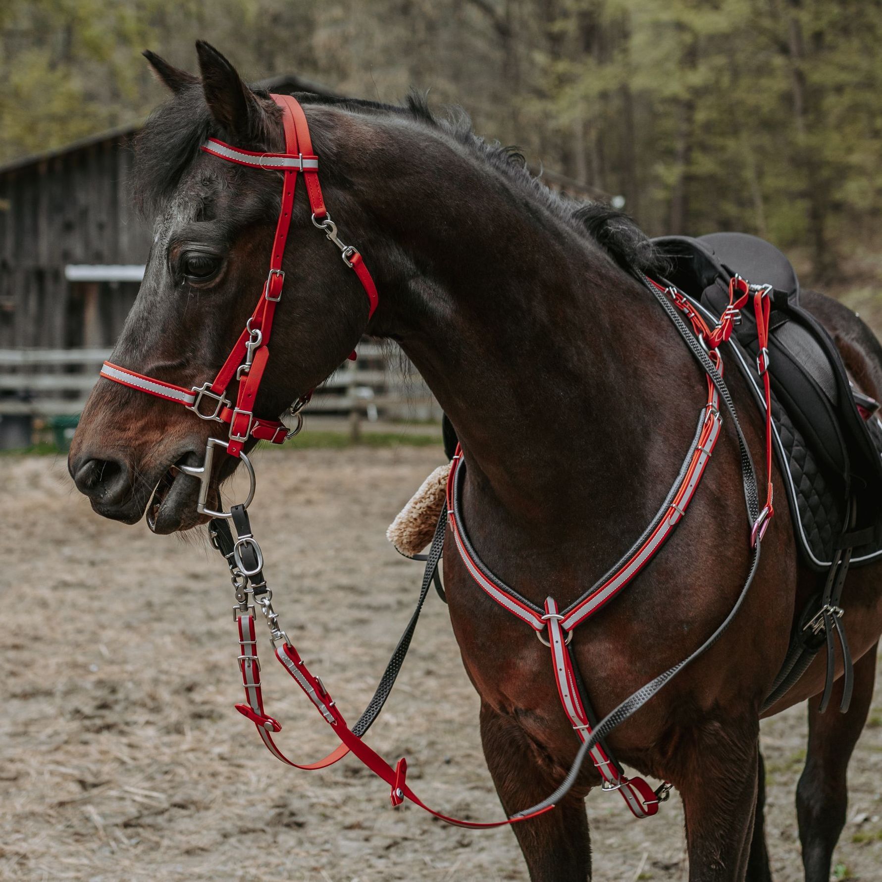 Breast Collar
