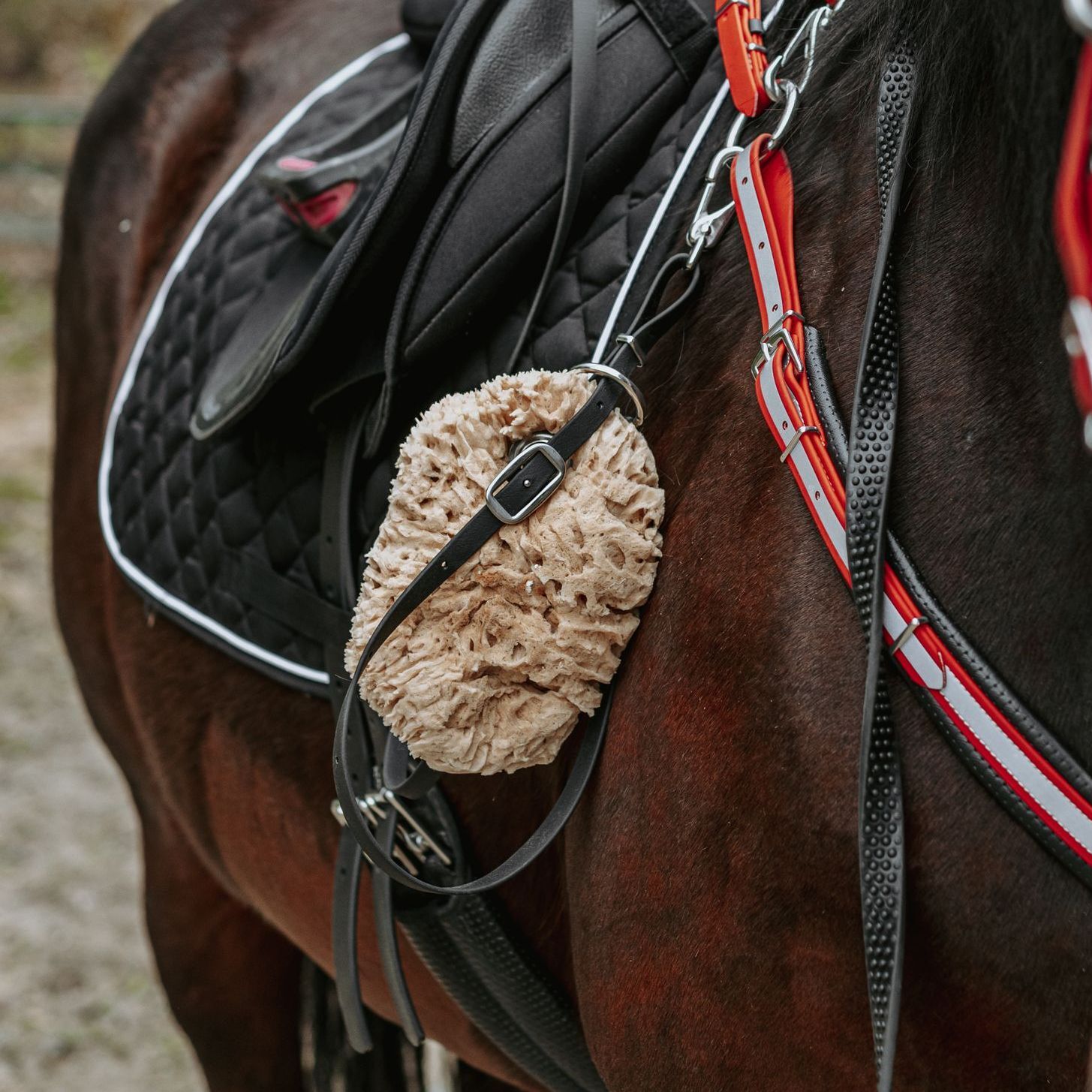 Sponge Leash (Beta-Thane)