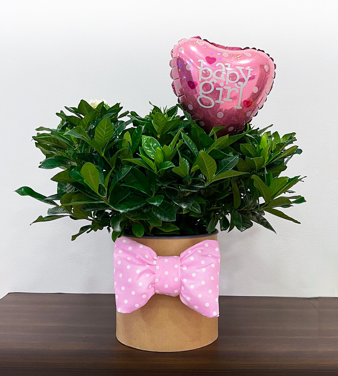 Baby Girl Gardenia