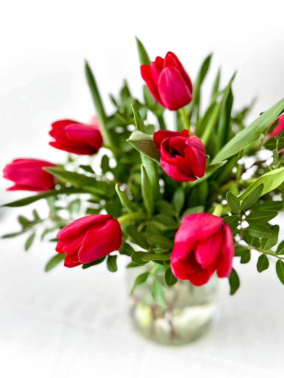Red Tulips