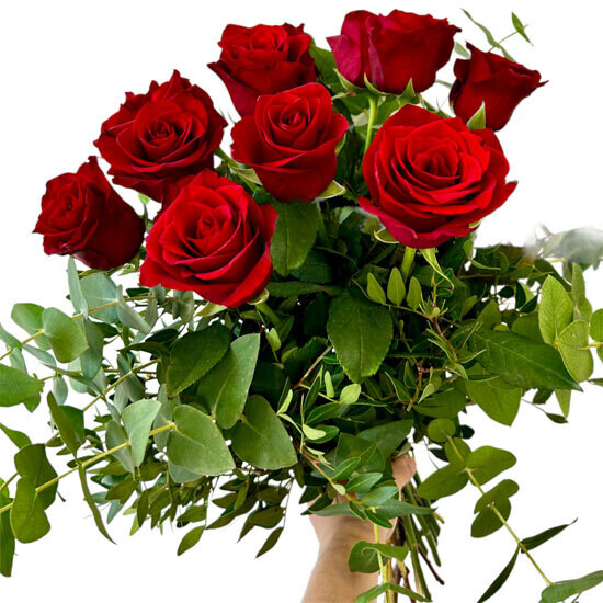 Bouquet of 12 Roses