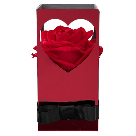 Forever Rose in my Heart