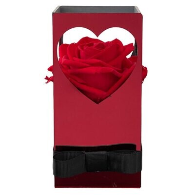 Forever Rose in my Heart