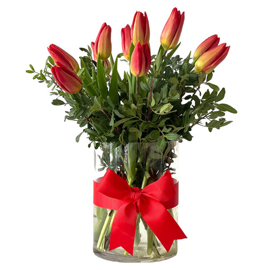 Red Tulips