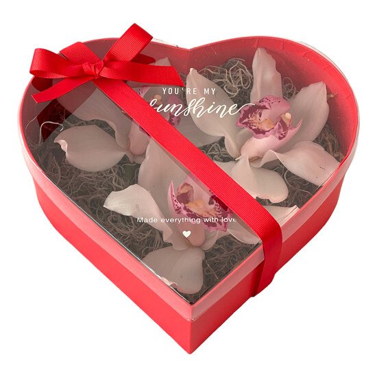 You Are In My Heart
