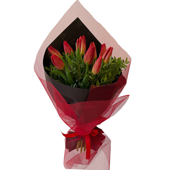 Red Tulips