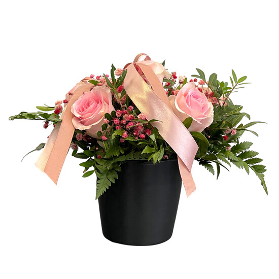 Pink Roses