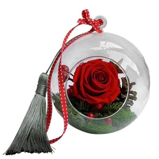 Christmas In a Bubble