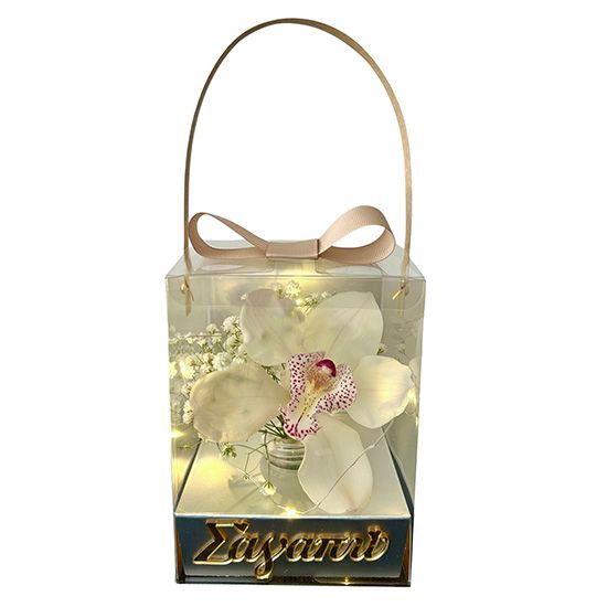 Orchid in a Box
